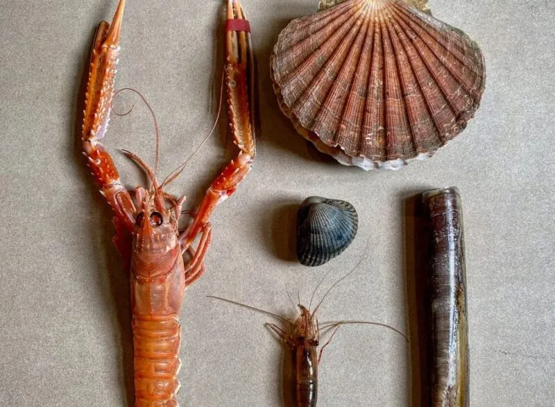 St Barts: One of the Finest Seafood Restaurants in London